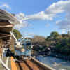 浜名湖佐久米駅、ユリカモメ、1月冬、静岡県浜松市の観光・撮影スポットの画像と写真