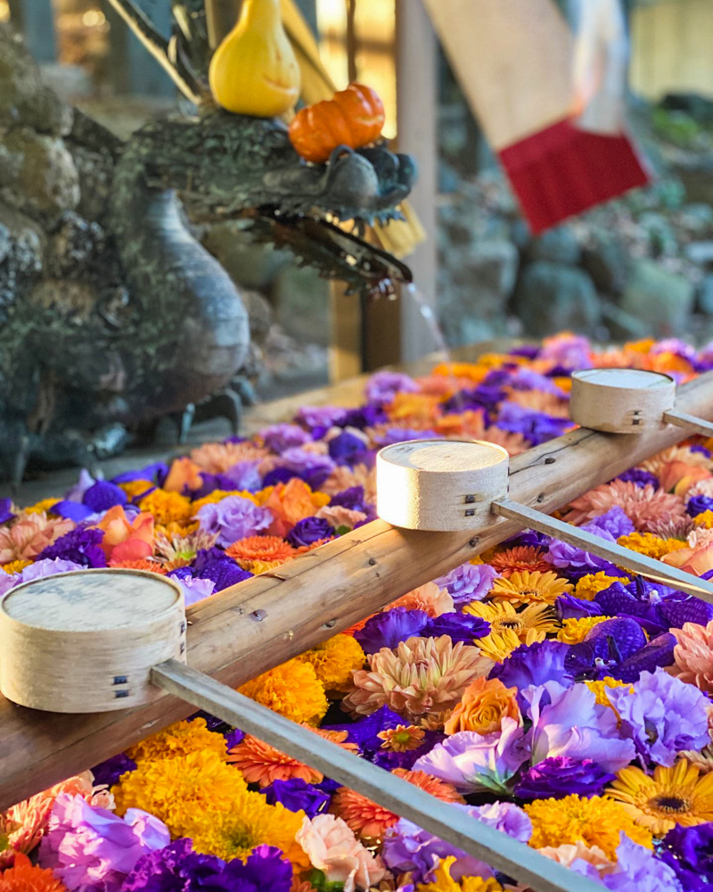清州山王宮 日吉神社 、花手水舎、11月秋、愛知県清須市の観光・撮影スポットの画像と写真