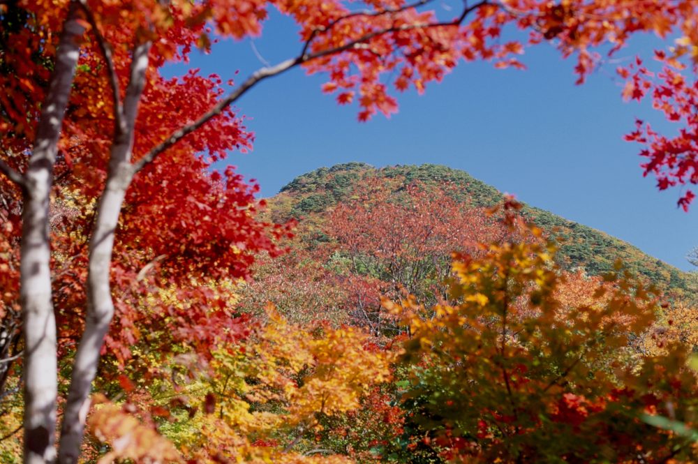 紅葉山、１０月秋、新潟県佐渡市の観光・撮影スポット