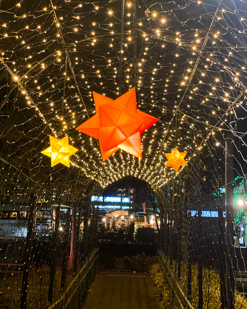 虎渓用水広場、イルミネーション、12月冬、岐阜県多治見市の観光・撮影スポットの画像と写真