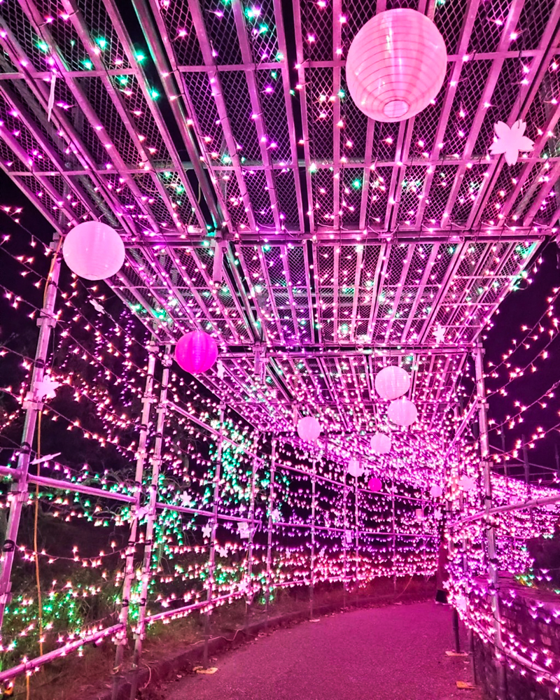 イルミネーションフェスタinあま(12月)愛知県あま市の観光・撮影スポットの名所 - 東海カメラマップ