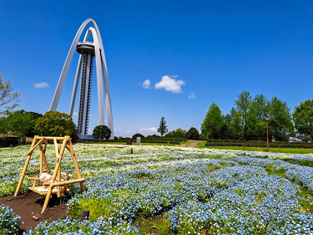 138タワーパーク、ネモフィラ、愛知県一宮市の観光・撮影スポットの画像と写真