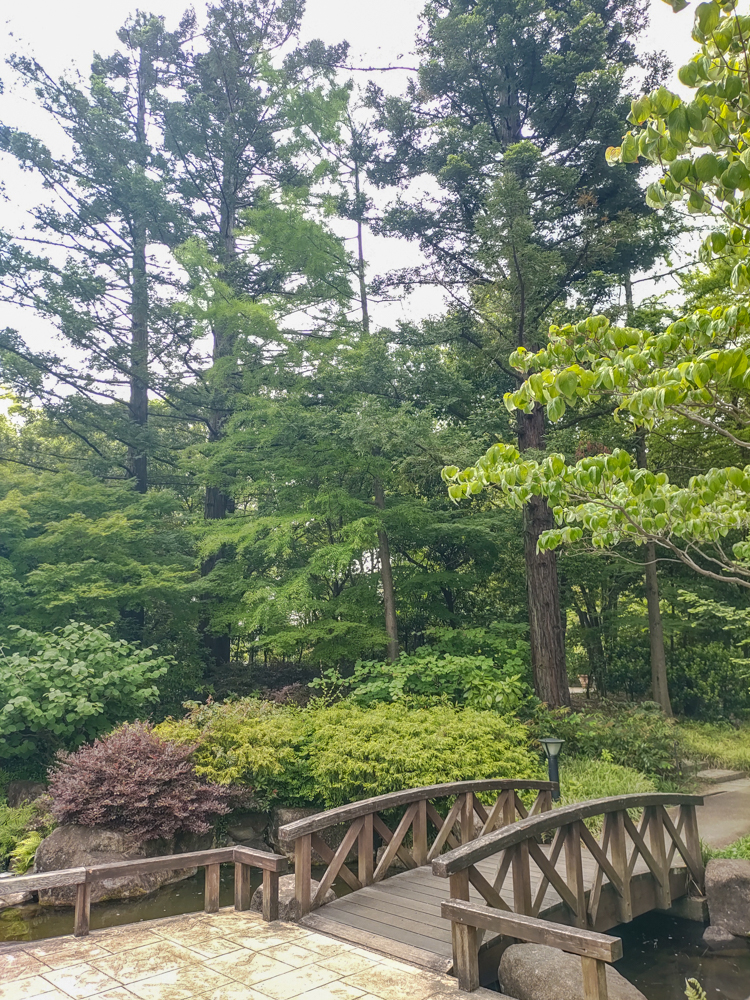 久屋大通庭園フラリエ、新緑・夏景色、6月夏、名古屋市中区の観光・撮影スポットの画像と写真