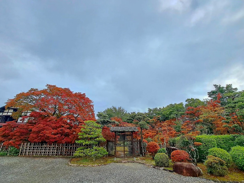 どうだん亭、紅葉、11月秋の名所、愛知県尾張旭市の観光・撮影スポットの名所