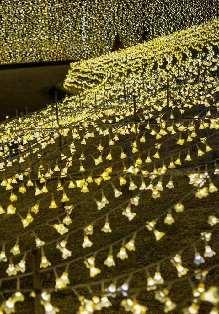 なばなの里サマーイルミネーション 、8月夏、三重県桑名市の観光・撮影スポットの名所