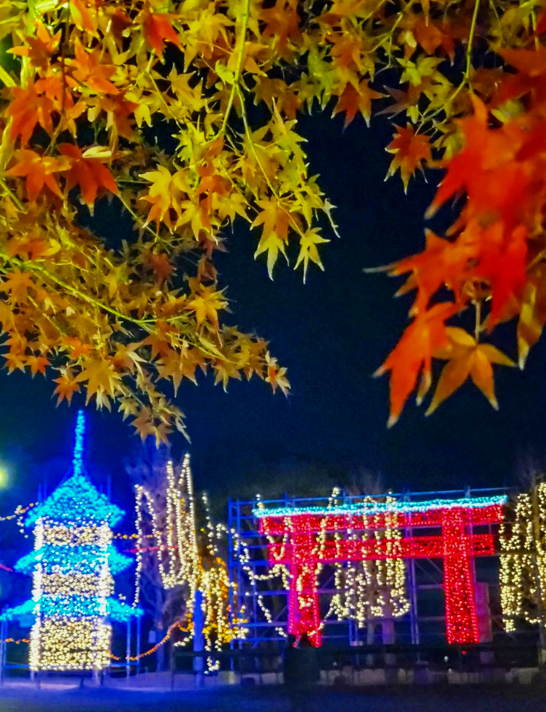 イルミネーションフェスタinあま 、12月冬、愛知県あま市の観光・撮影スポットの画像と写真