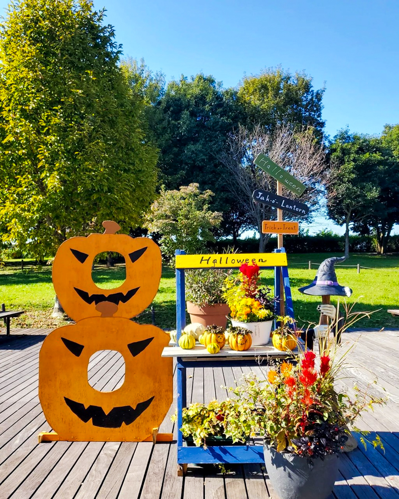 ラワーパーク江南、ハロウィン、10月の秋、愛知県江南市の観光・撮影スポットの画像と写真