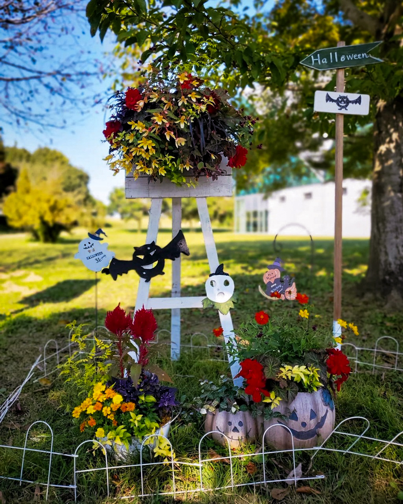 ラワーパーク江南、ハロウィン、10月の秋、愛知県江南市の観光・撮影スポットの画像と写真