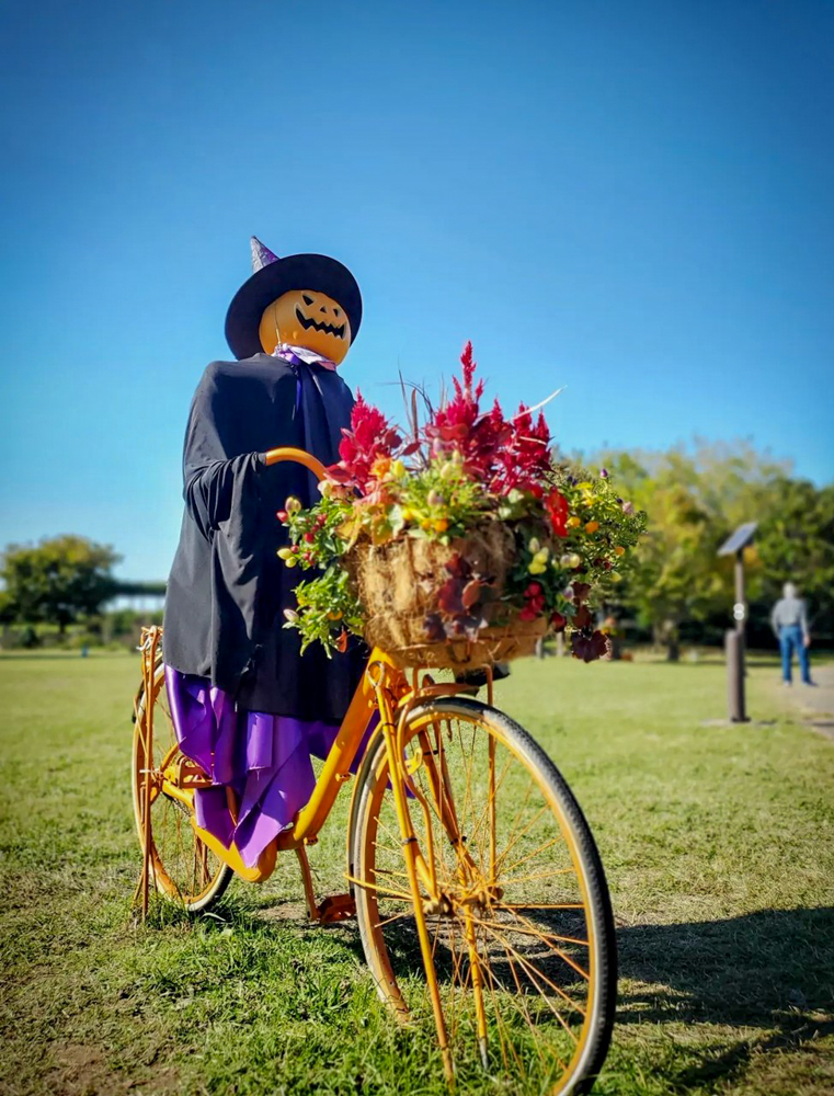 ラワーパーク江南、ハロウィン、10月の秋、愛知県江南市の観光・撮影スポットの画像と写真