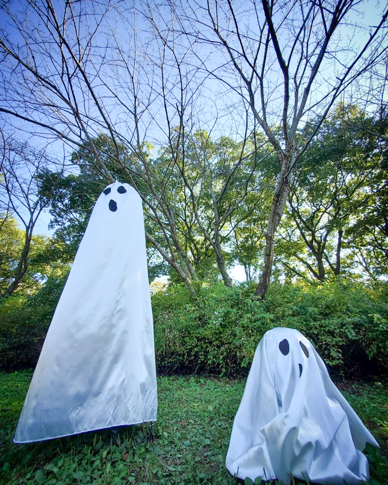 ラワーパーク江南、ハロウィン、10月の秋、愛知県江南市の観光・撮影スポットの画像と写真