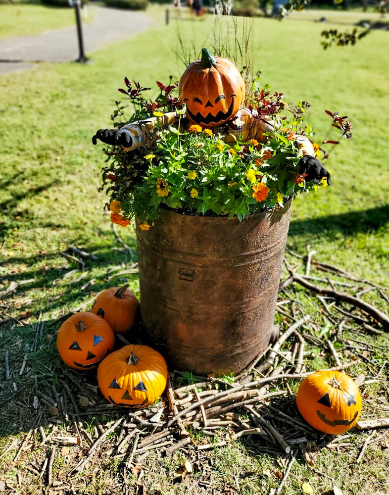 ラワーパーク江南、ハロウィン、10月の秋、愛知県江南市の観光・撮影スポットの画像と写真