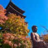 八事山興正寺、紅葉、11月秋、名古屋市昭和区八事の観光・撮影スポットの画像や写真