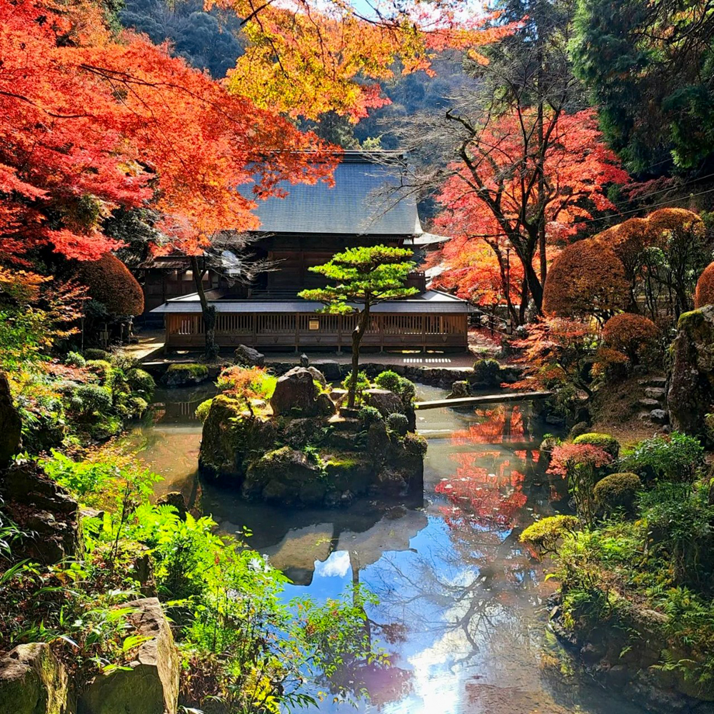 内々神社、紅葉、11月秋、愛知県春日井市の観光・撮影スポットの名所"