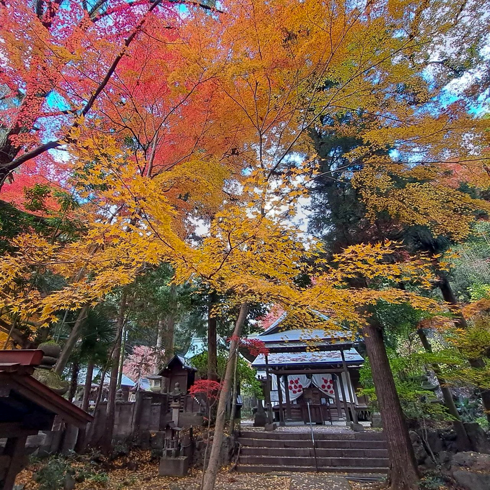 内々神社、紅葉、11月秋、愛知県春日井市の観光・撮影スポットの名所"