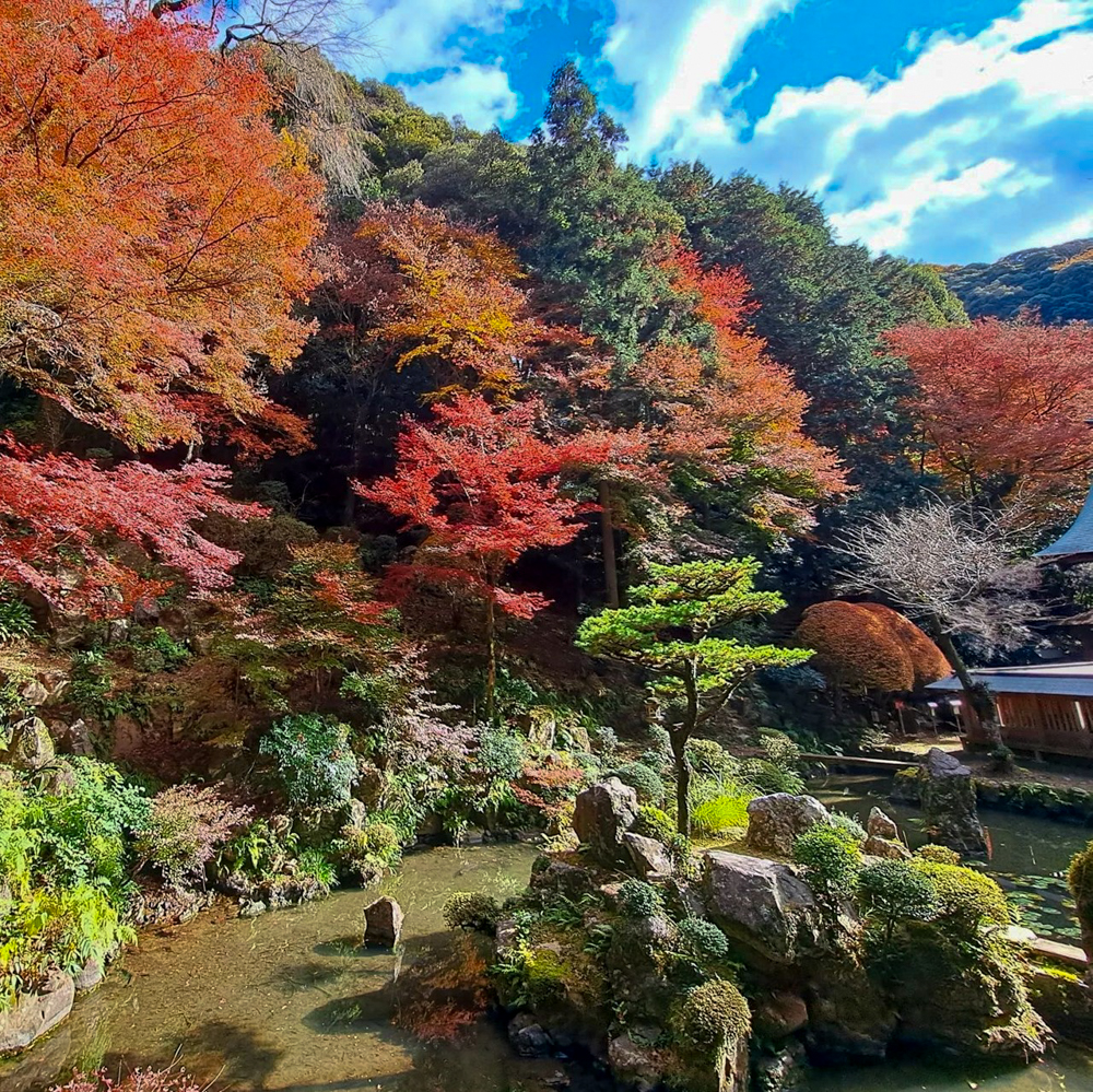 内々神社、紅葉、11月秋、愛知県春日井市の観光・撮影スポットの名所"