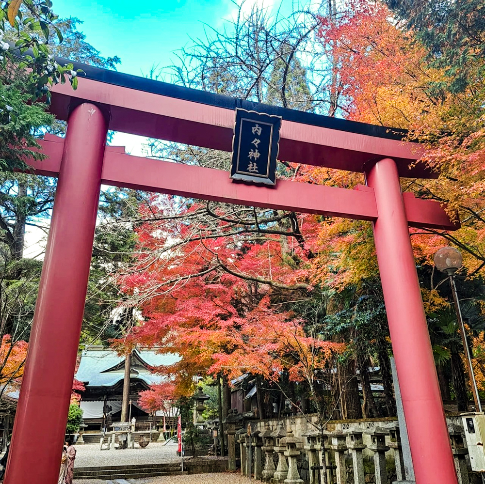 内々神社、紅葉、11月秋、愛知県春日井市の観光・撮影スポットの名所"