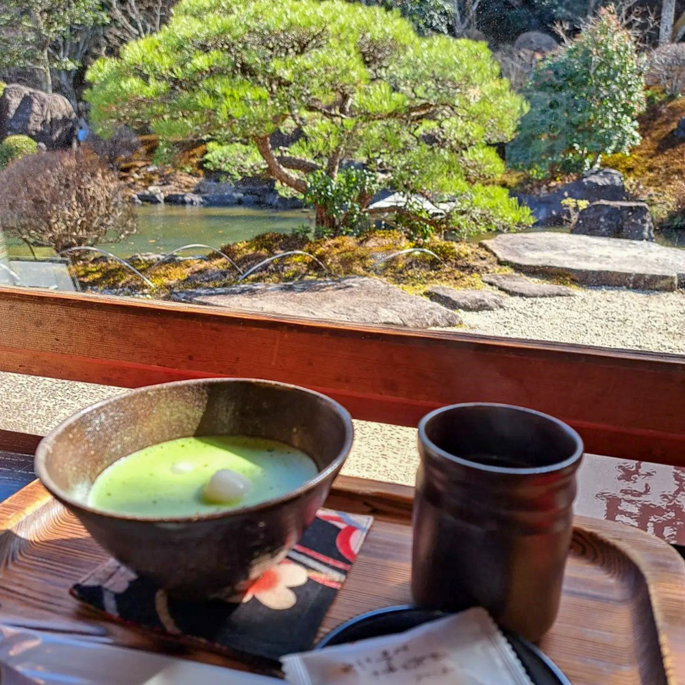 奥殿陣屋、お茶、愛知県岡崎市の観光・撮影スポット