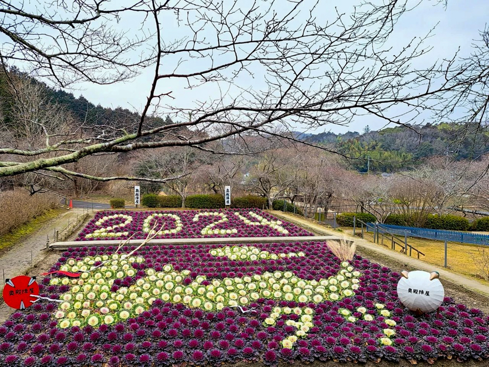 奥殿陣屋、２月の春の花、愛知県岡崎市の観光・撮影スポット