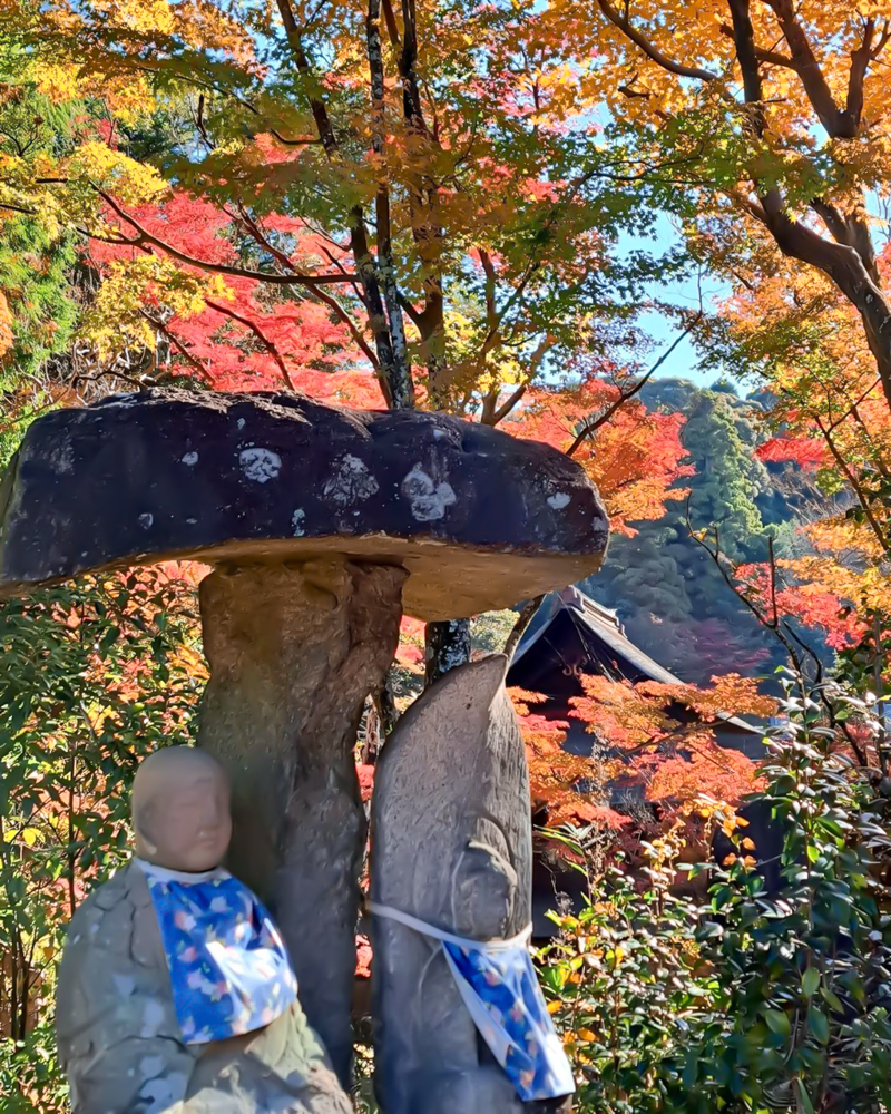 定光寺公園、紅葉、11月秋、愛知県瀬戸市の観光・撮影スポットの名所