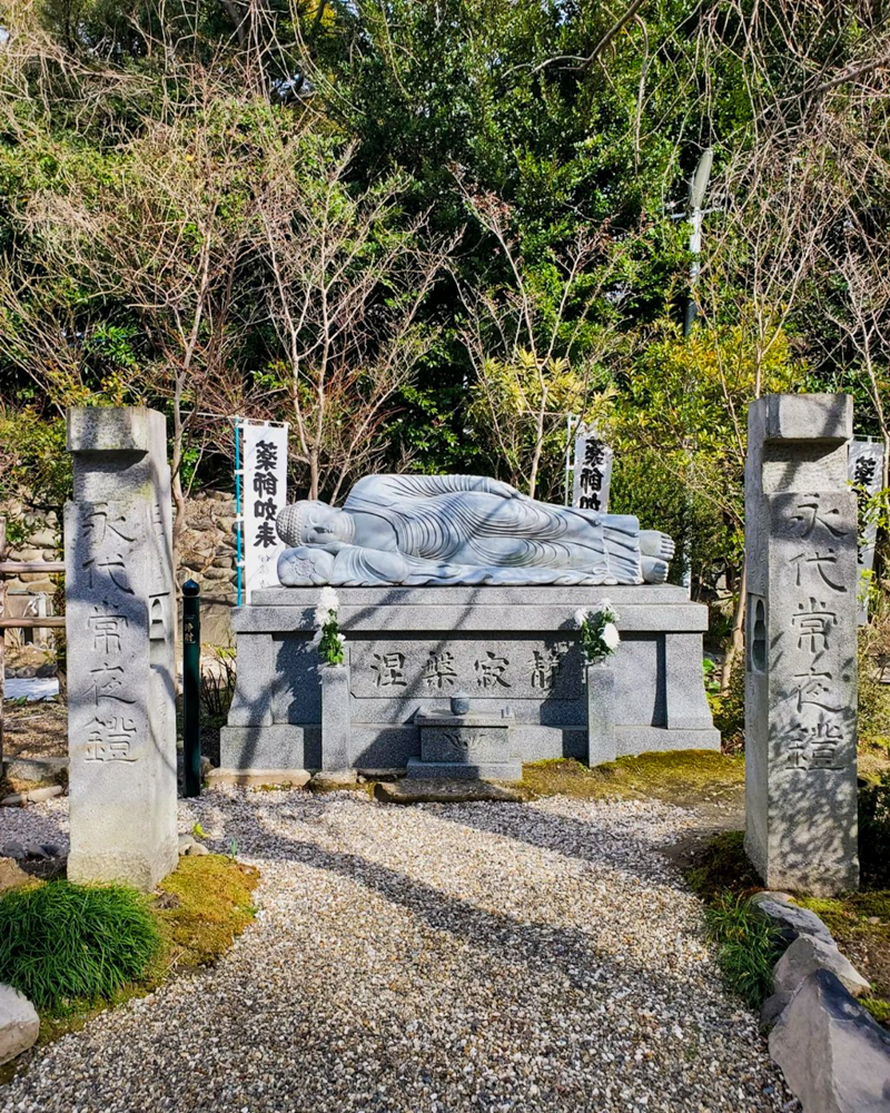 宝寿院、2月春、愛知県津島市の観光・撮影スポットの名所