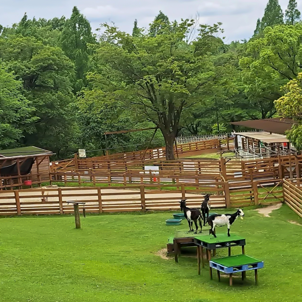 市民四季の森、6月夏、愛知県小牧市の観光・撮影スポットの画像と写真