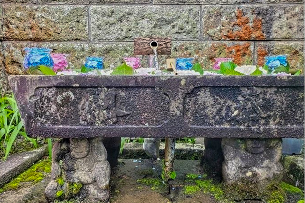 弓削寺、あじさい、花手水舎、岐阜県揖斐郡の観光・撮影スポットの画像と写真