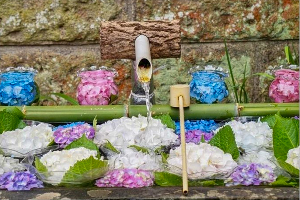 弓削寺、あじさい、花手水舎、岐阜県揖斐郡の観光・撮影スポットの画像と写真