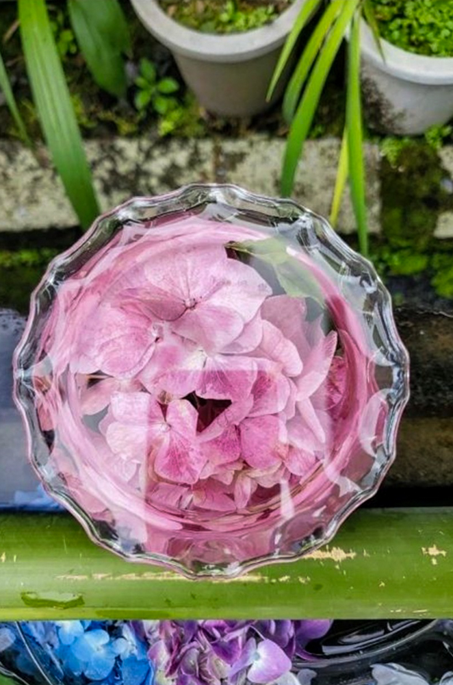 弓削寺、あじさい、花手水舎、岐阜県揖斐郡の観光・撮影スポットの画像と写真