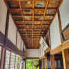 弓削寺、天井画、あじさい、岐阜県揖斐郡の観光・撮影スポットの画像と写真