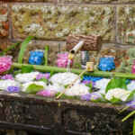 弓削寺、あじさい、花手水舎、岐阜県揖斐郡の観光・撮影スポットの画像と写真
