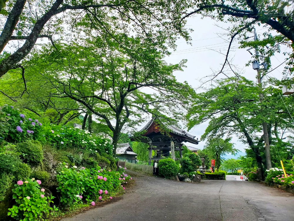 弓削寺、岐阜県揖斐郡の観光・撮影スポットの画像と写真