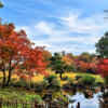 愛知県緑化センター、紅葉、11月秋、愛知県豊田市の観光・撮影スポットの名所