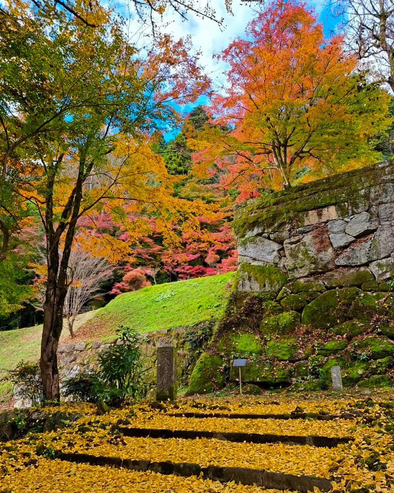 扶桑山大鷲院 、紅葉、秋、11月、愛知県豊田市の観光・撮影スポットの画像と写真