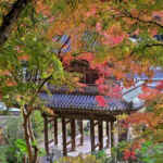 扶桑山大鷲院 、紅葉、秋、11月、愛知県豊田市の観光・撮影スポットの画像と写真