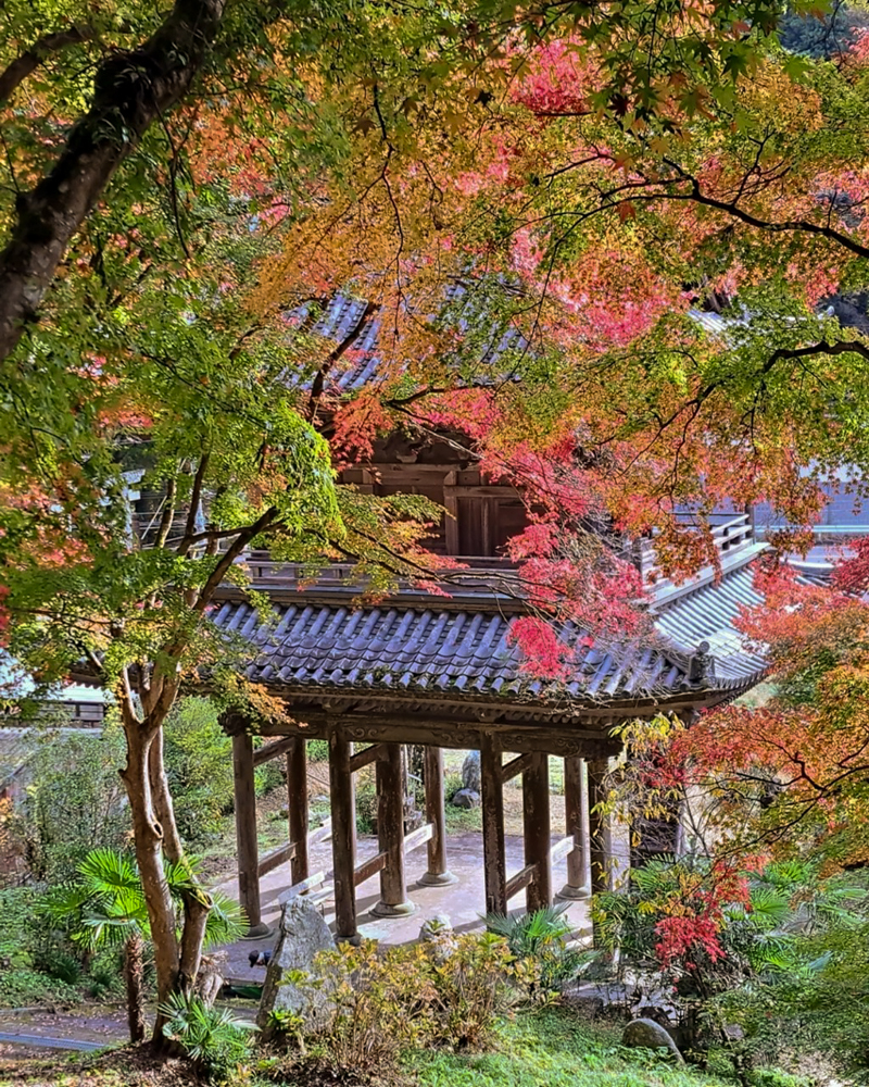 扶桑山大鷲院 、紅葉、秋、11月、愛知県豊田市の観光・撮影スポットの画像と写真