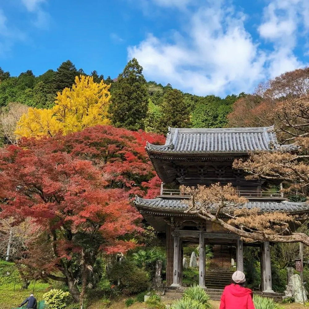 扶桑山大鷲院 、紅葉、秋、11月、愛知県豊田市の観光・撮影スポットの画像と写真