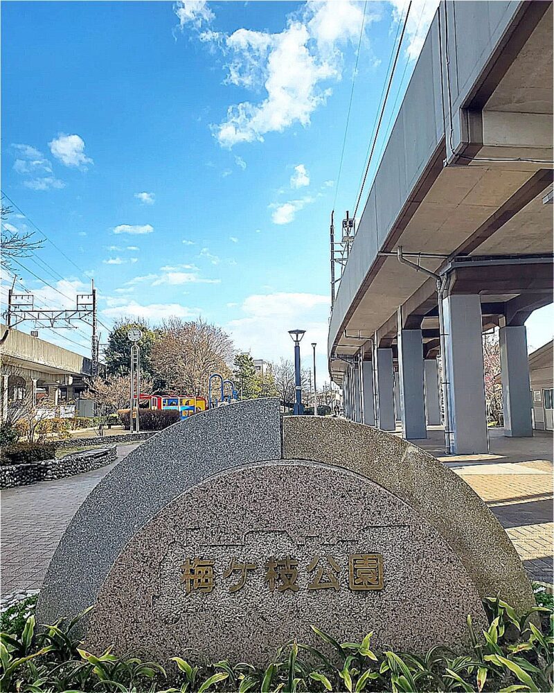 梅ヶ枝公園、梅、2月春、愛知県一宮市の観光・撮影スポットの画像と写真