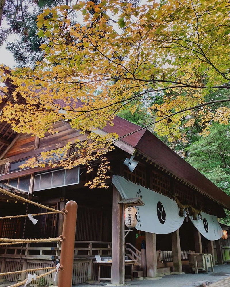 椿大神社 、紅葉、11月秋、三重県鈴鹿市の観光・撮影スポットの名所