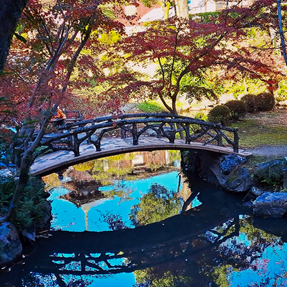 楊輝荘、紅葉、11月秋、日本庭園、名古屋市千種区の観光・撮影スポットの画像と写真