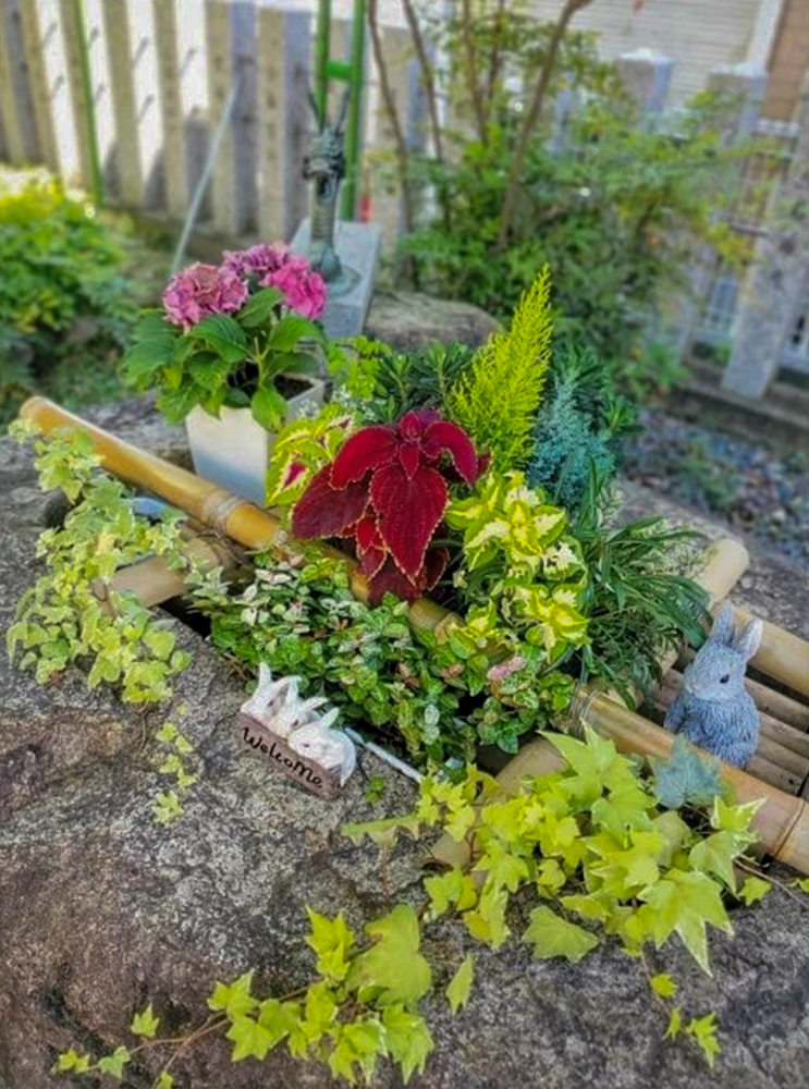 橋詰秋葉神社、花手水舎、6月夏、愛知県津島市の観光・撮影スポットの名所