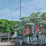 江南市の若宮八幡社 、ヒトツバタゴ、５月春の花、愛知県江南市の観光・撮影スポットの画像と写真