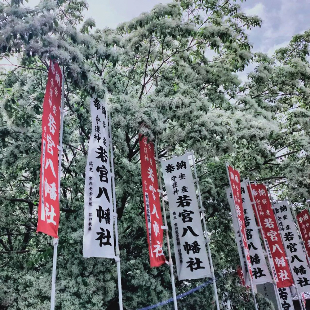 江南市の若宮八幡社 、ヒトツバタゴ、５月春の花、愛知県江南市の観光・撮影スポットの画像と写真