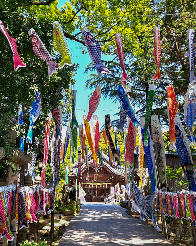 熊野神社、鯉のぼり、4月春、愛知県東海市の観光・撮影スポットの名所