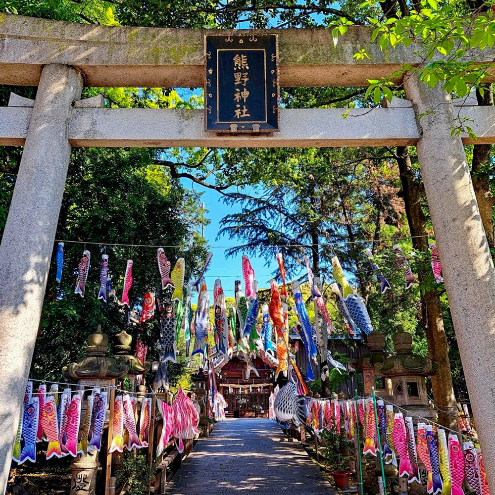 熊野神社、鯉のぼり、4月春、愛知県東海市の観光・撮影スポットの名所