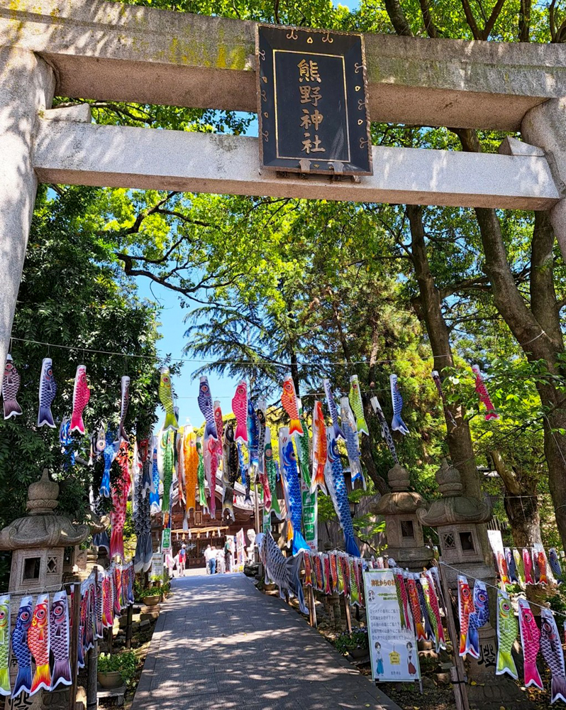 熊野神社、鯉のぼり、4月春、愛知県東海市の観光・撮影スポットの名所