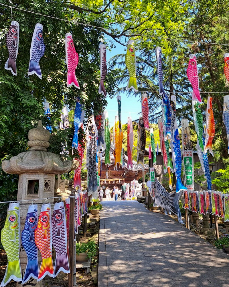 熊野神社、鯉のぼり、4月春、愛知県東海市の観光・撮影スポットの名所