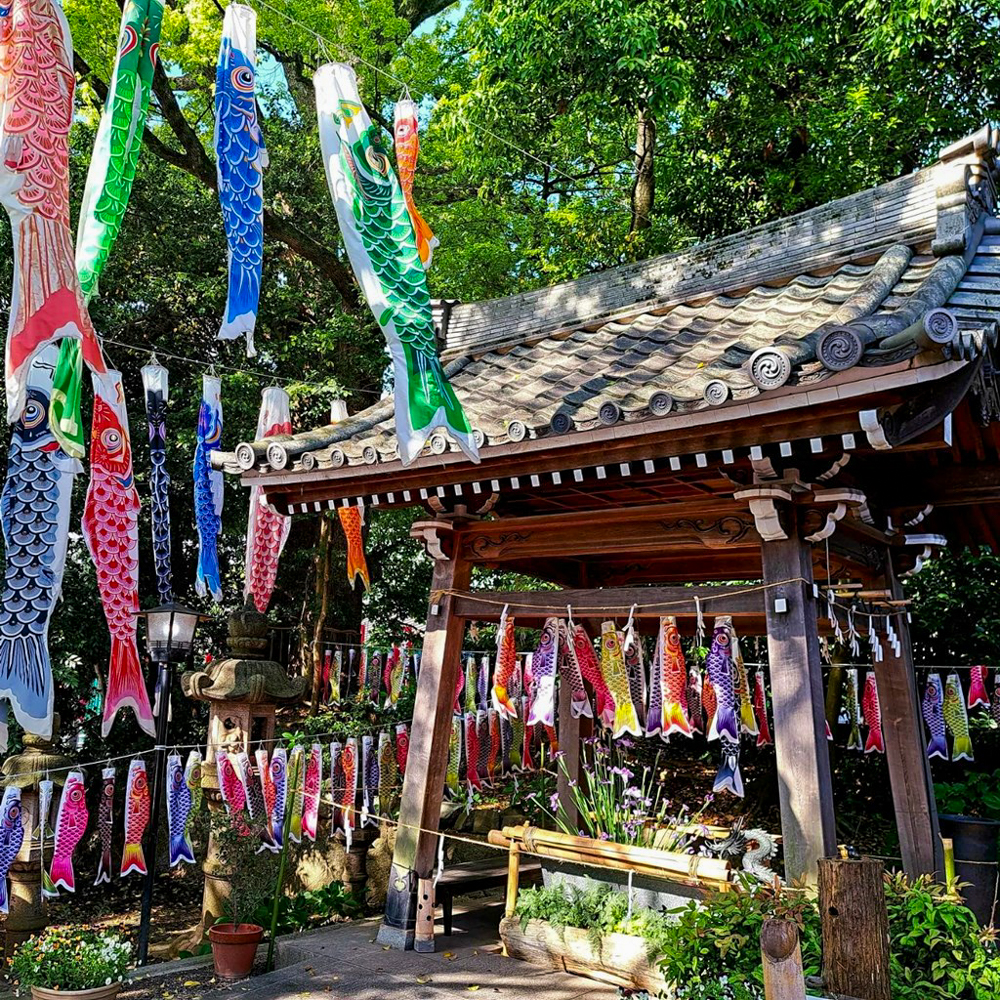 熊野神社、鯉のぼり、4月春、愛知県東海市の観光・撮影スポットの名所