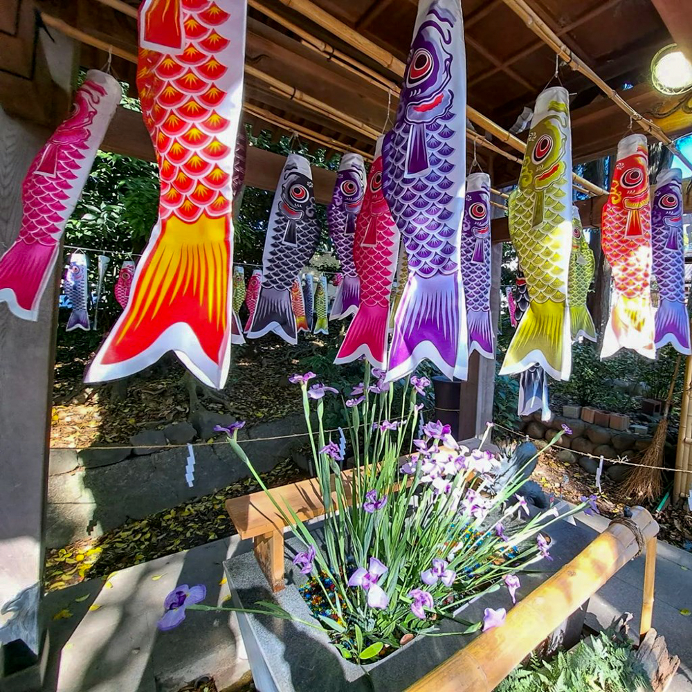 熊野神社、鯉のぼり、4月春、愛知県東海市の観光・撮影スポットの名所