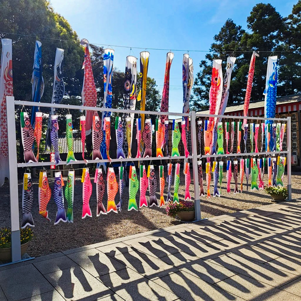熊野神社、鯉のぼり、4月春、愛知県東海市の観光・撮影スポットの名所