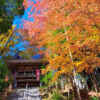川見薬師寺、紅葉、11月秋、愛知県豊田市の観光・撮影スポットの画像と写真